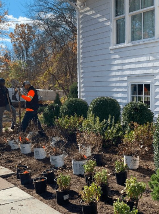 Landscaping