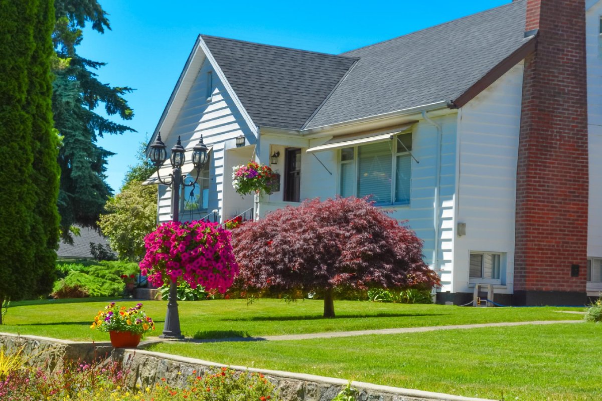 The Best Time to Prune Trees in Connecticut