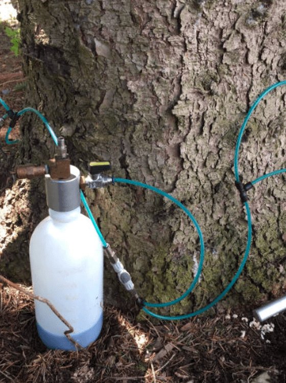 Tree-Plant-Healthcare