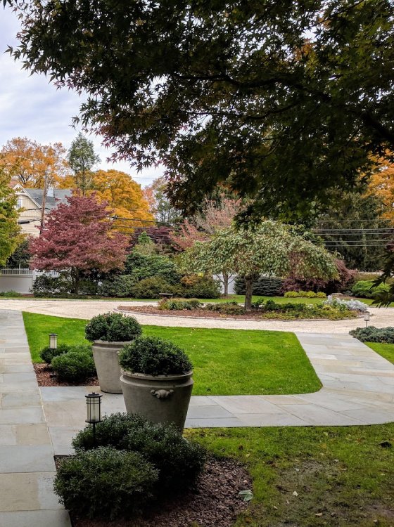 organic-lawn-and-land-care