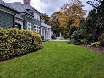 Lawn-Renovation