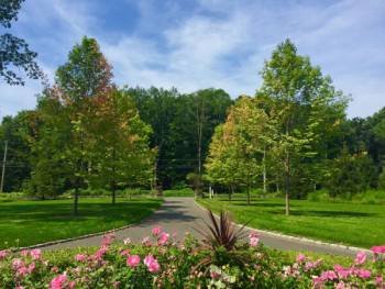 Organic-Lawn-Care