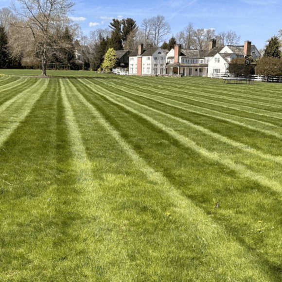 lawn-renovation-service
