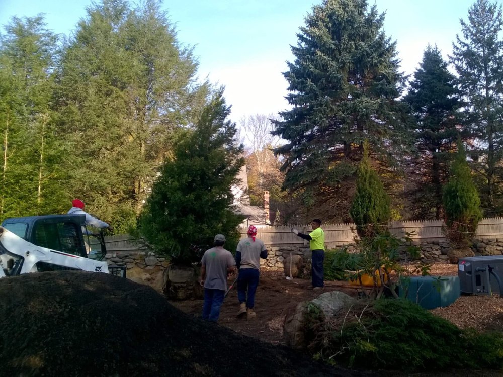 Organic lawn and land care for a Fairfield County, CT property