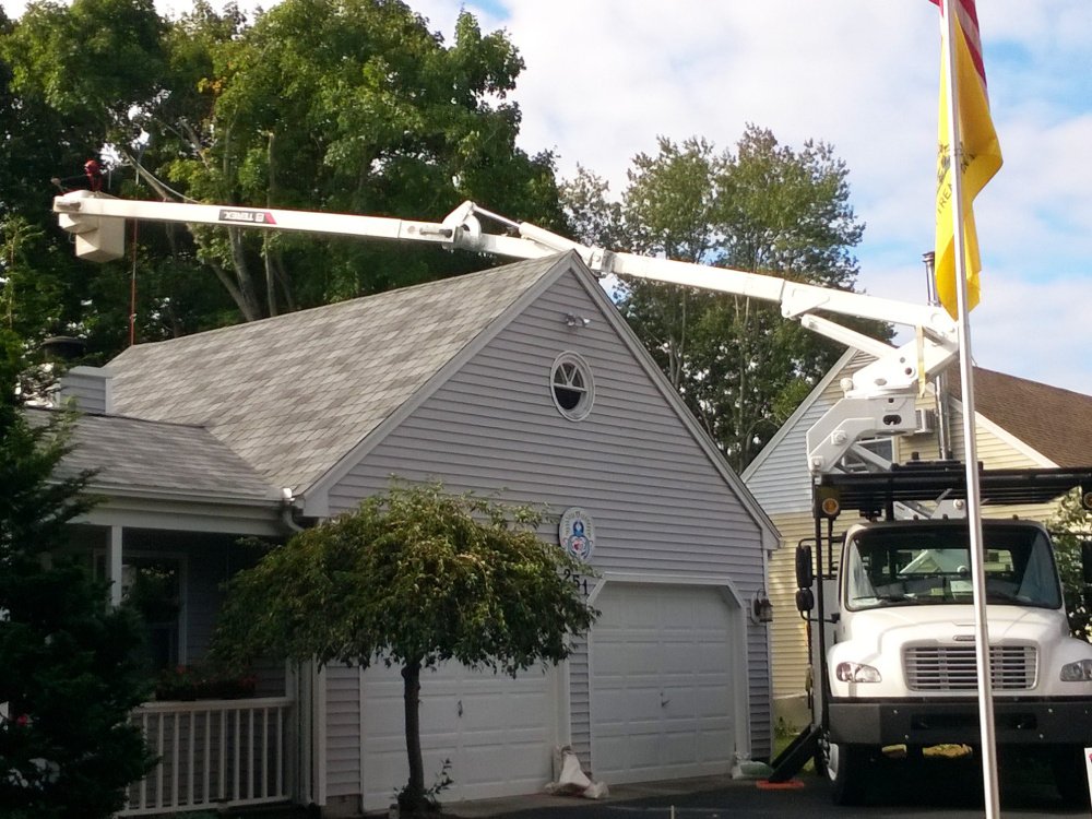 Plant health care for trees and landscapes in Fairfield County, CT