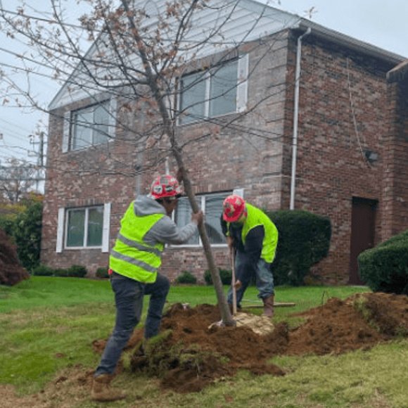 planting-transplanting-service