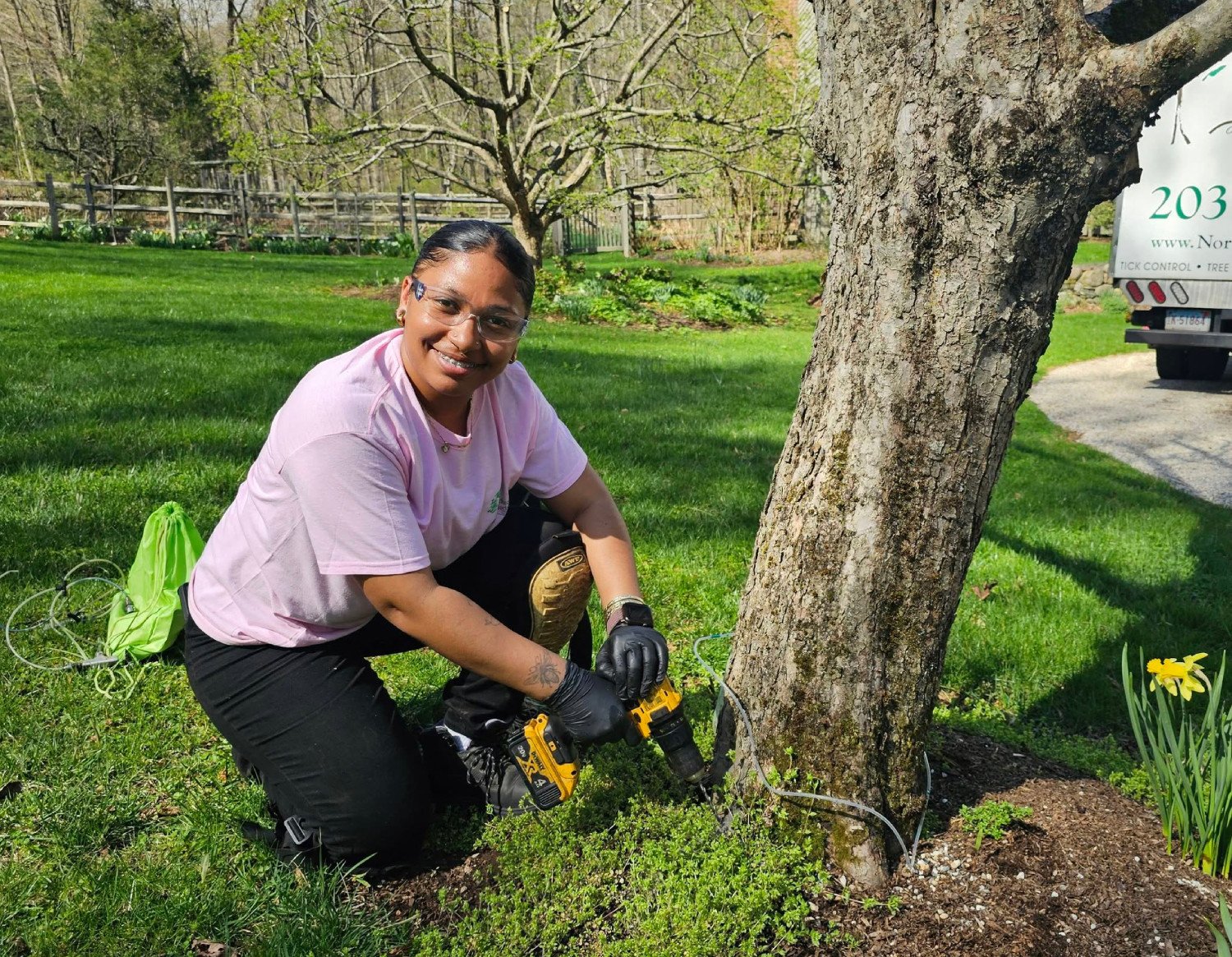 professional-tree-assessment-connecticut