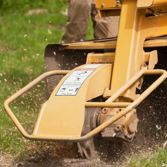 stump-removal-service