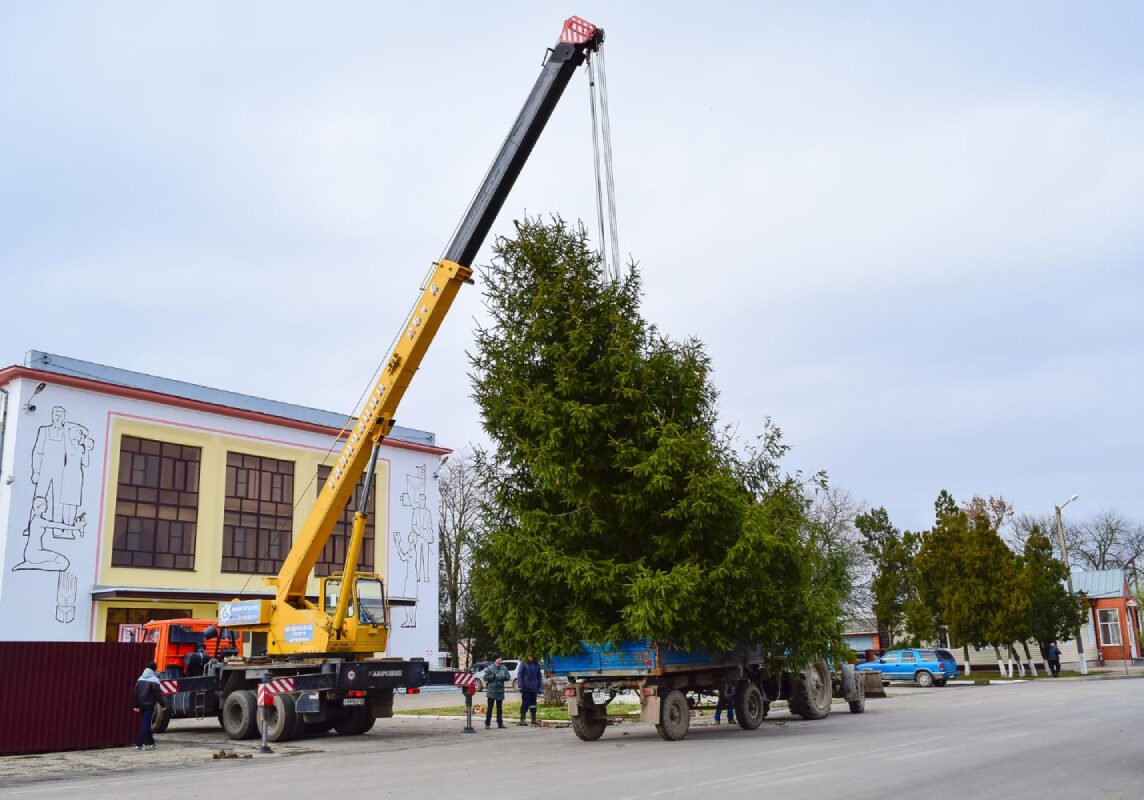 How Much Does Tree Removal Cost in Fairfield County, CT_