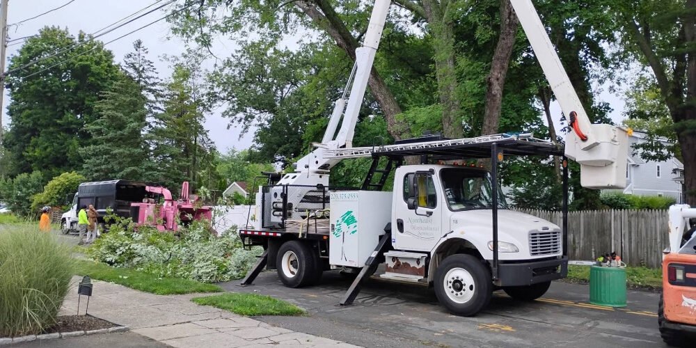 estate-landscape-care-fairfield-county-ct