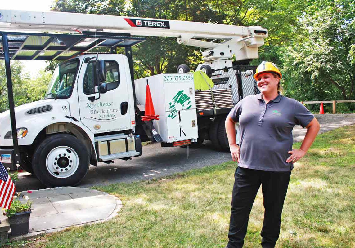 Licensed Arborist