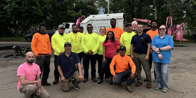 Northeast Horticultural Services arborists on a tree care job in Fairfield County, CT