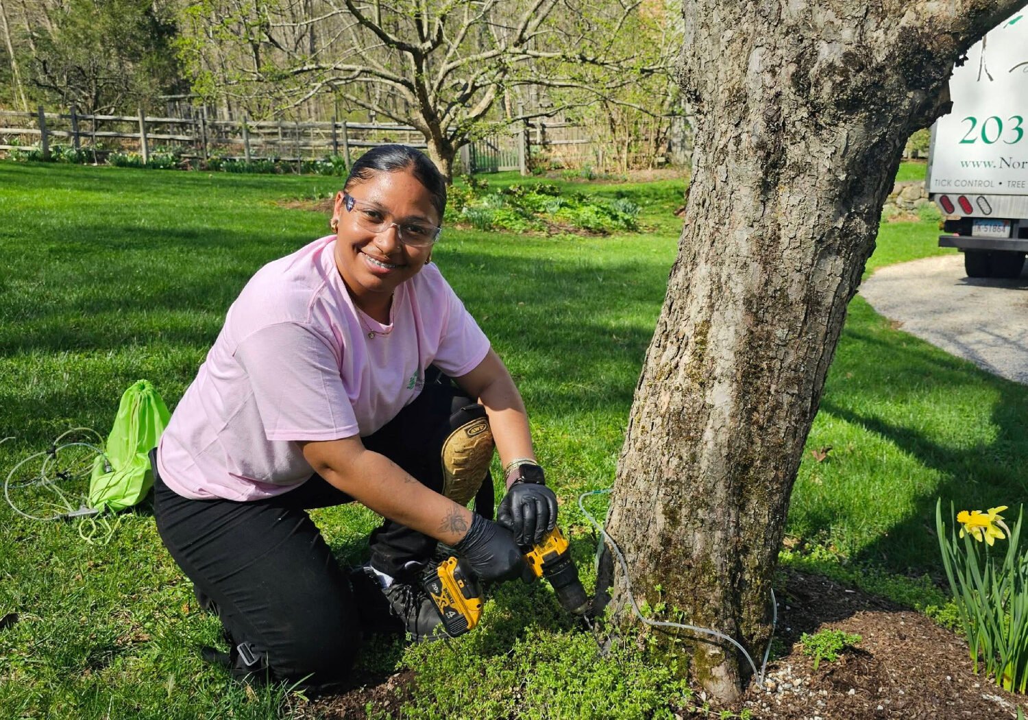 professional-tree-assessment-connecticut